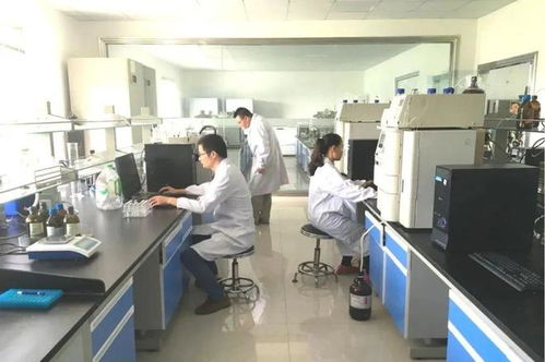 省級(jí)研究中心,興化再添一席